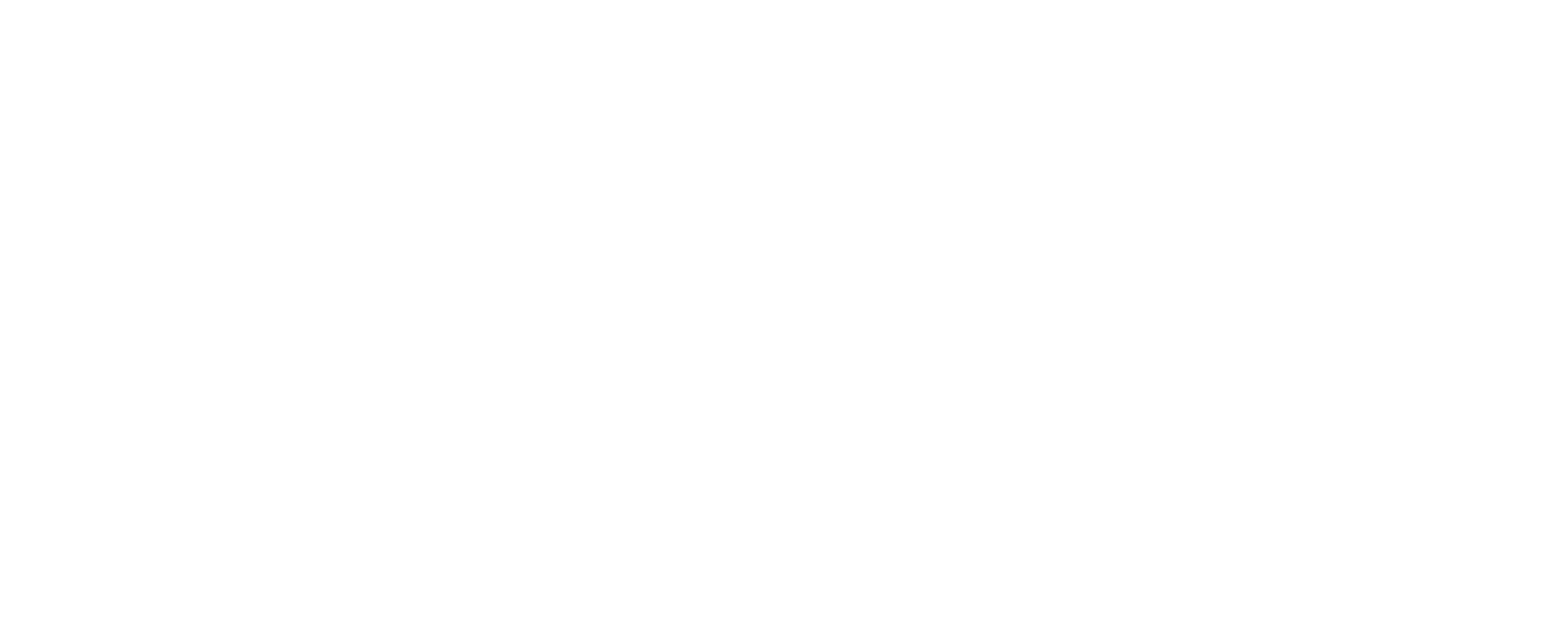 Vision